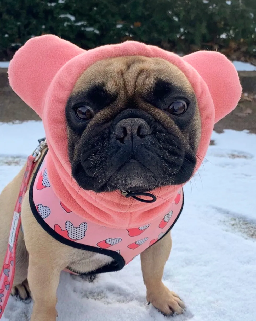 Frenchiestore Organic Dog Frenchie Ear Warmers | Coral