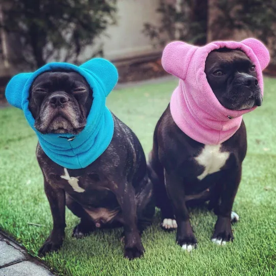 Frenchiestore Organic Dog Frenchie Ear Warmers | Pink