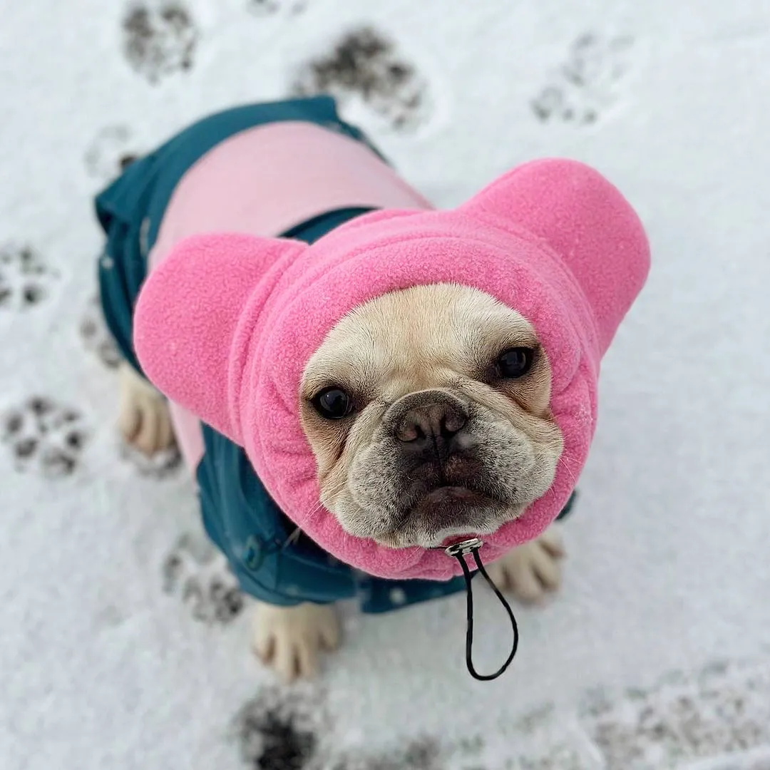 Frenchiestore Organic Dog Frenchie Ear Warmers | Pink