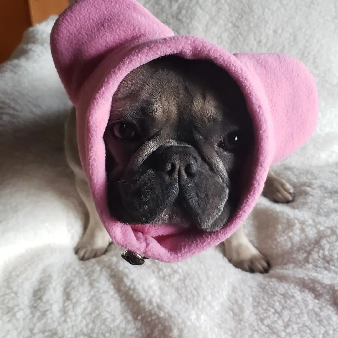 Frenchiestore Organic Dog Frenchie Ear Warmers | Pink