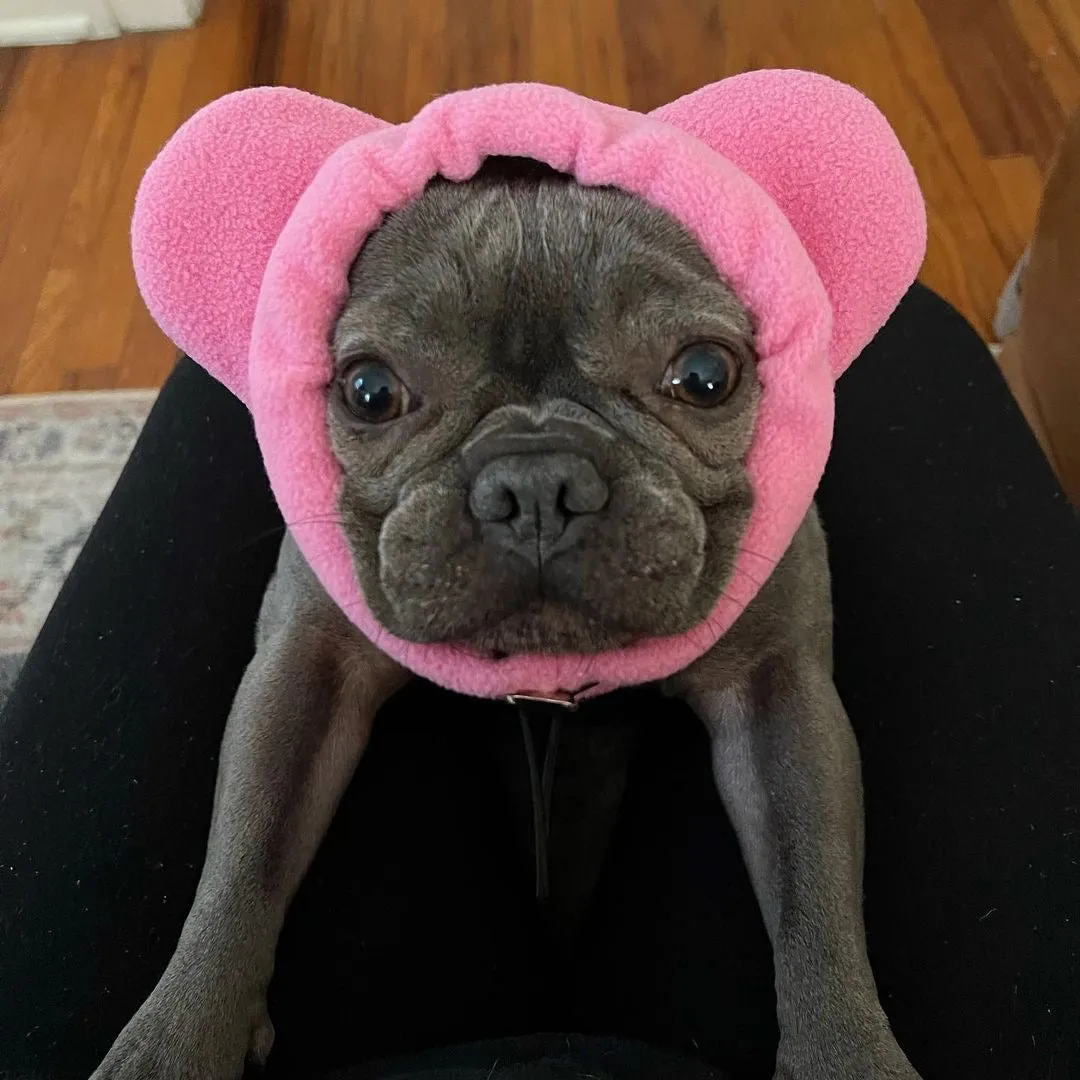 Frenchiestore Organic Dog Frenchie Ear Warmers | Pink