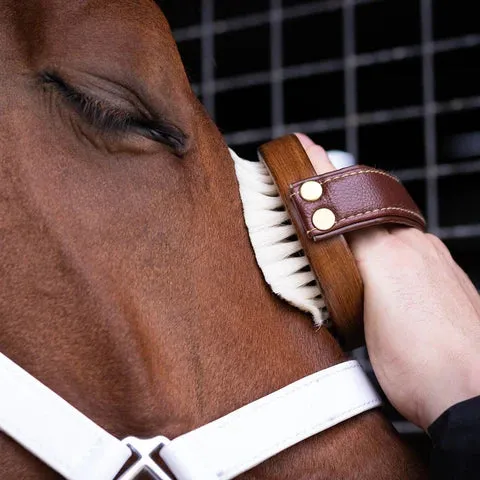 Hairy Pony Face Brush