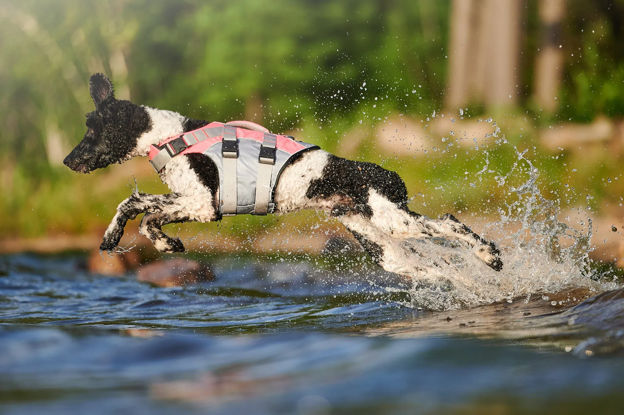 Pink Life Jacket