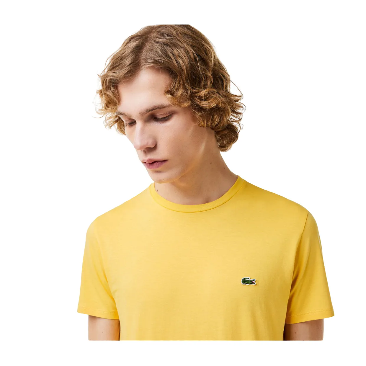 T-shirt Uomo Lacoste Girocollo Cotone Pima Giallo